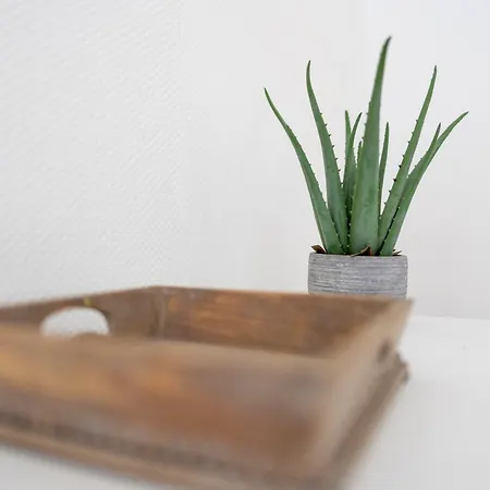 アパート Atlantic Selection - Ocean Side - A 200 Metres De L'estacade