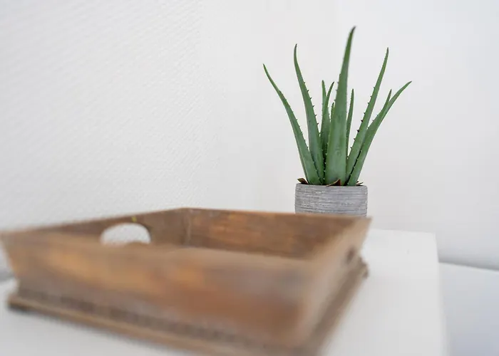 Daire Atlantic Selection - Ocean Side - A 200 Metres De L'estacade